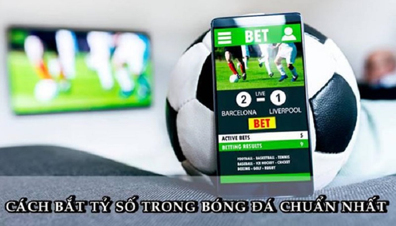 Hướng dẫn cách bắt tỉ số bóng đá cho người mới bắt đầu